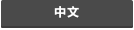中文