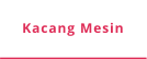 Kacang Mesin