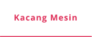 Kacang Mesin